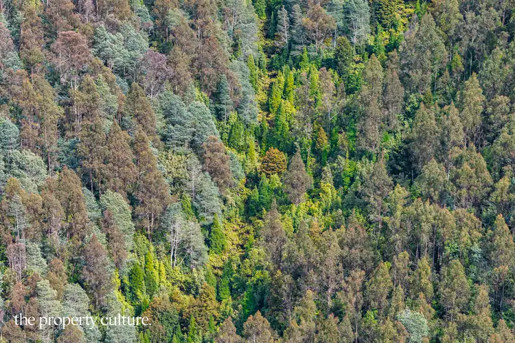 Fifth view of Homely land listing, LOT 1, 2 & 3 Bakers Creek Rd, Lucaston TAS 7109