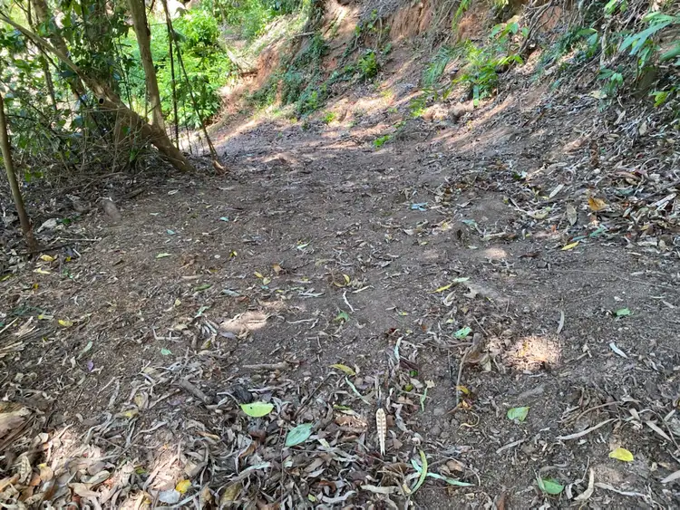 Third view of Homely land listing, 111 Mansfield Street, Earlville QLD 4870