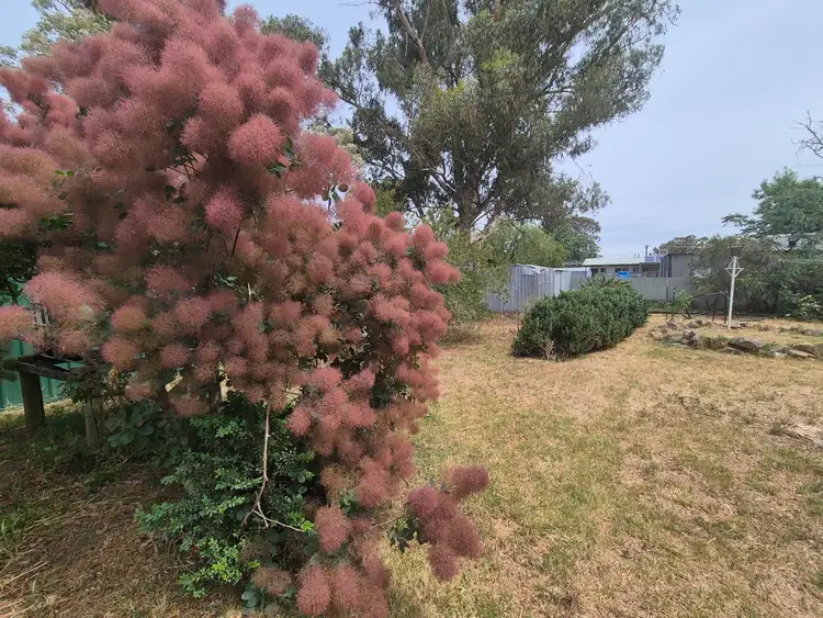 Third view of Homely house listing, 25 Sutherland Street, Euroa VIC 3666