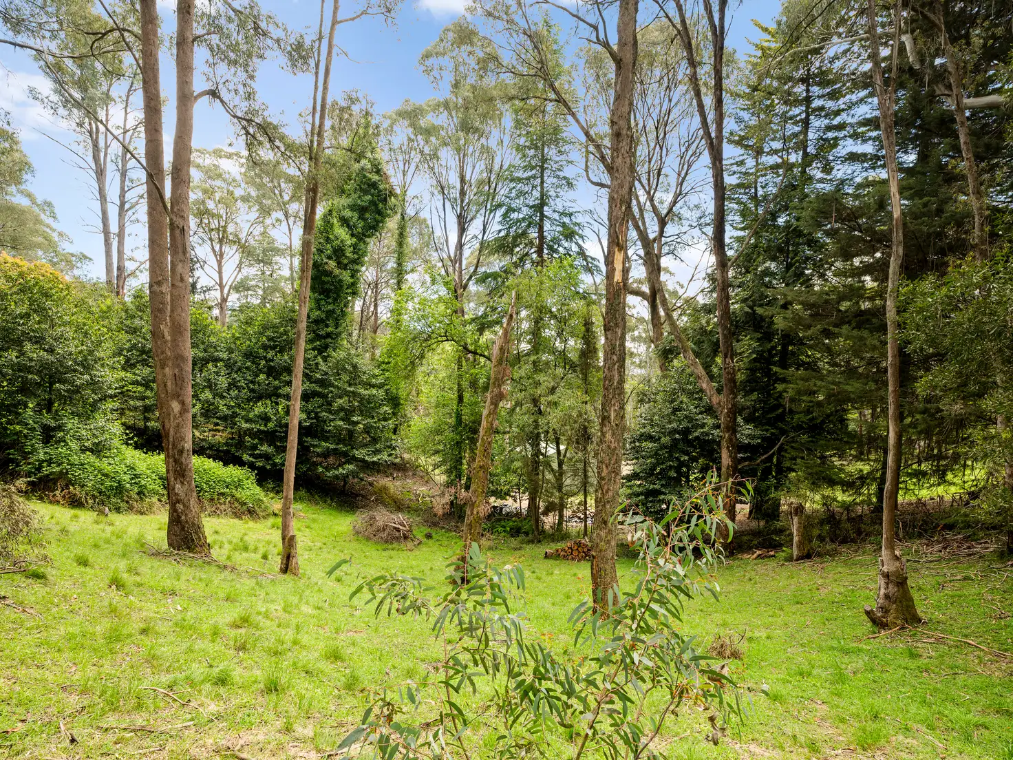 Main view of Homely land listing, 25 Rosella Street, Sawmill Settlement VIC 3723