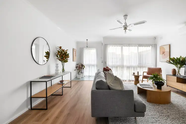 293 Mont Albert Road