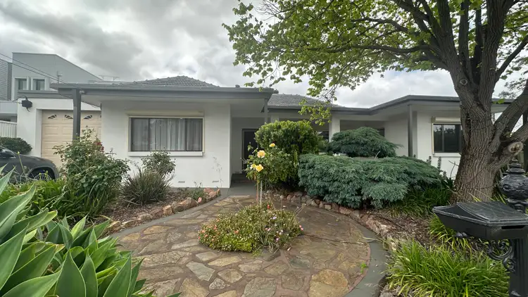 36 Moules Road, Magill SA 5072