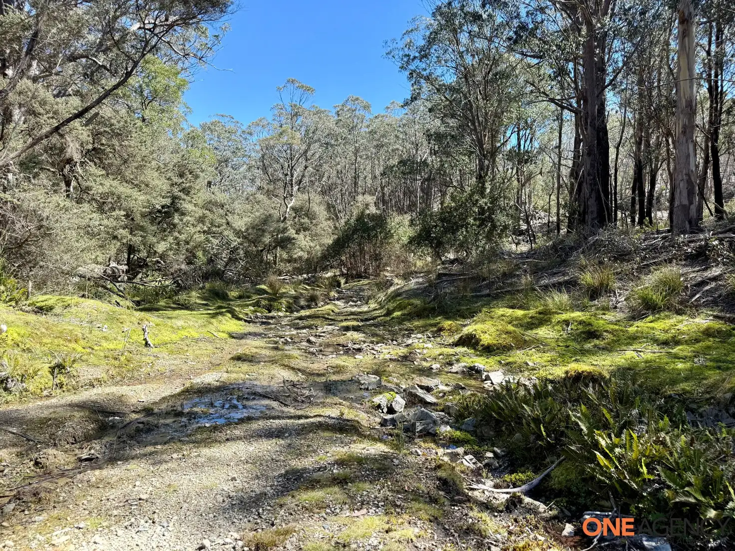 Main view of Homely rural property listing, Lots 113 & 114 Kydra Firetrail Greenlands Road, Greenlands NSW 2631