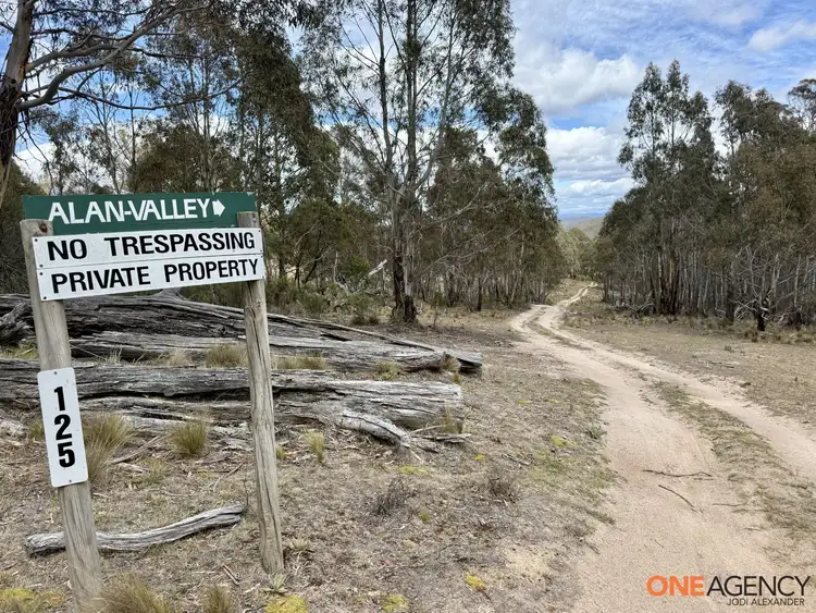 Lots 73 & 78 / 125 Fistys Lane, Jerangle NSW 2630