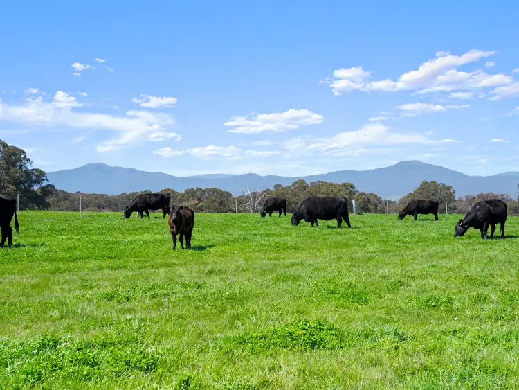 Second view of Homely rural property listing, 630 Glenroy Road, Merrijig VIC 3723
