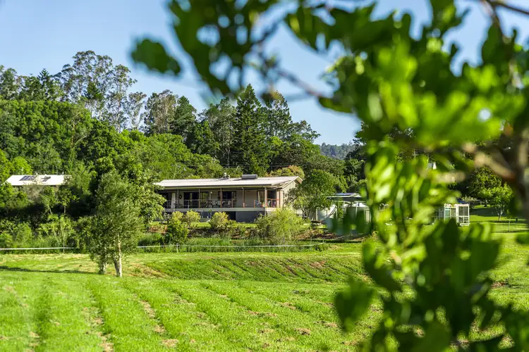 Sixth view of Homely rural property listing, 169 Gungas Road, Nimbin NSW 2480