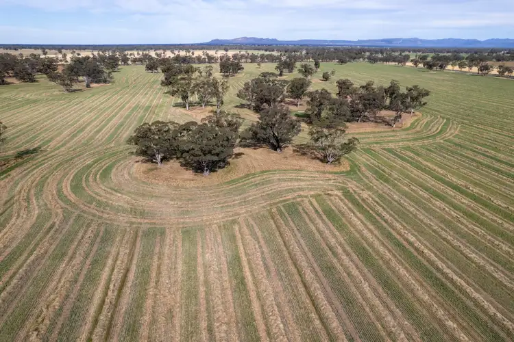 114 Nixons South Road, Wonwondah VIC 3401