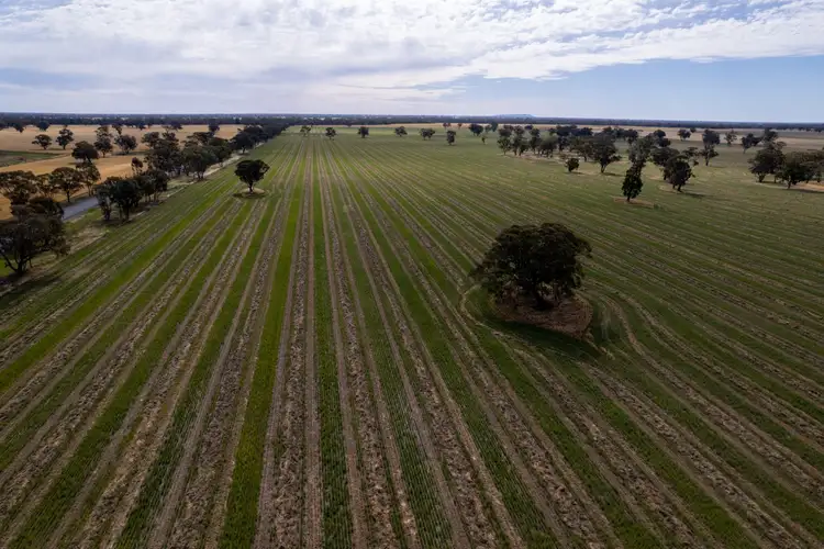 Fourth view of Homely rural property listing, 114 Nixons South Road, Wonwondah VIC 3401