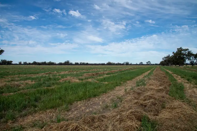 Fifth view of Homely rural property listing, 114 Nixons South Road, Wonwondah VIC 3401