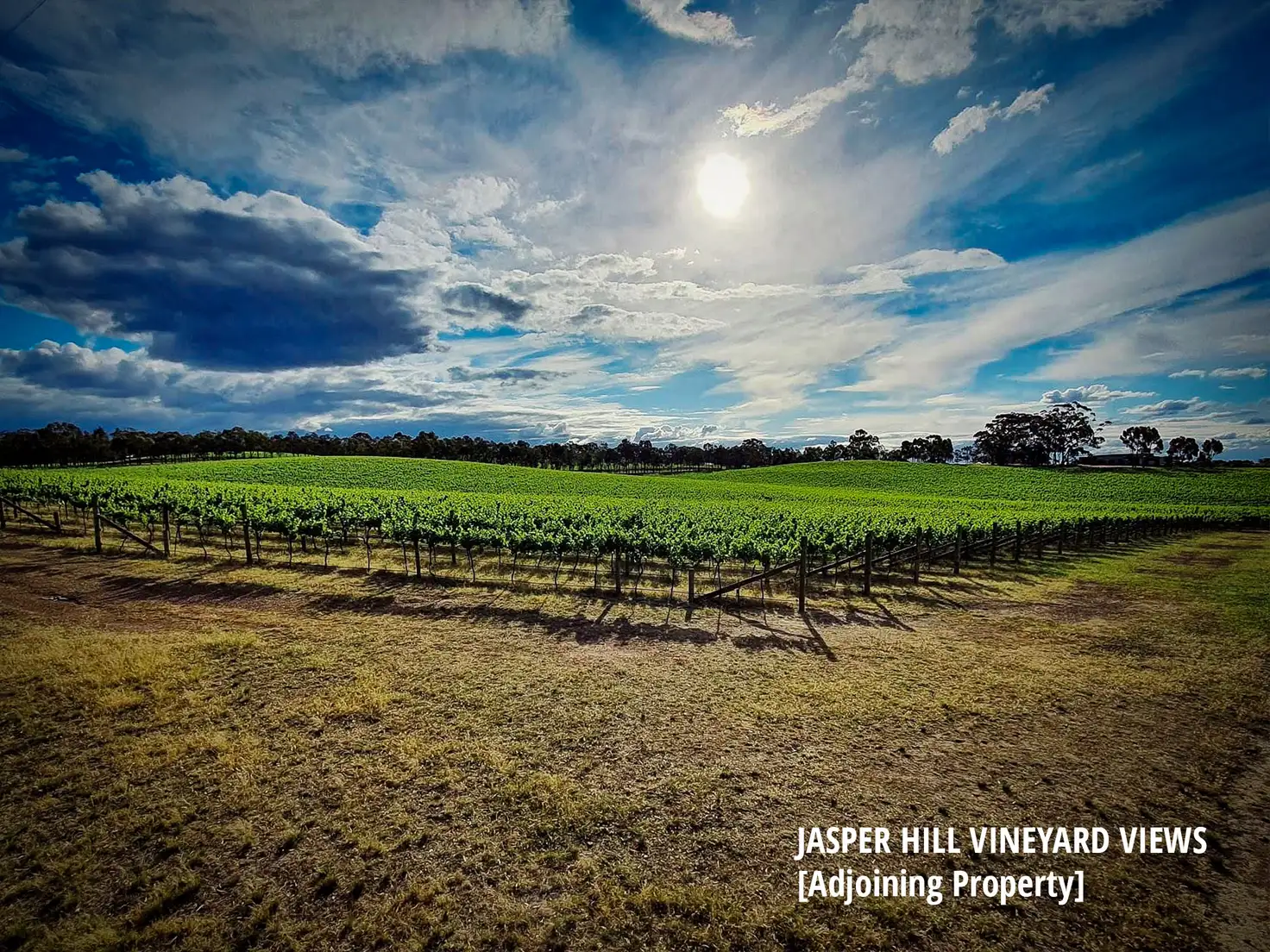 Main view of Homely rural property listing, 58 Drummonds Lane, Heathcote VIC 3523