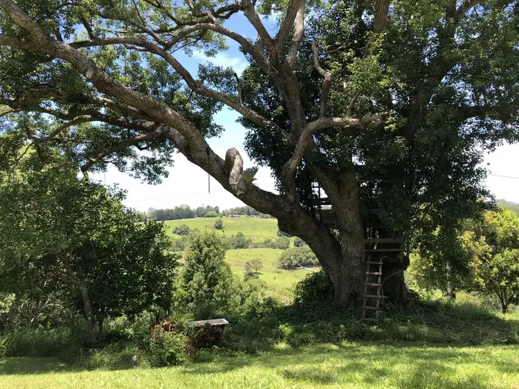 Fifth view of Homely house listing, 59 Mafeking Road, Goonengerry NSW 2482