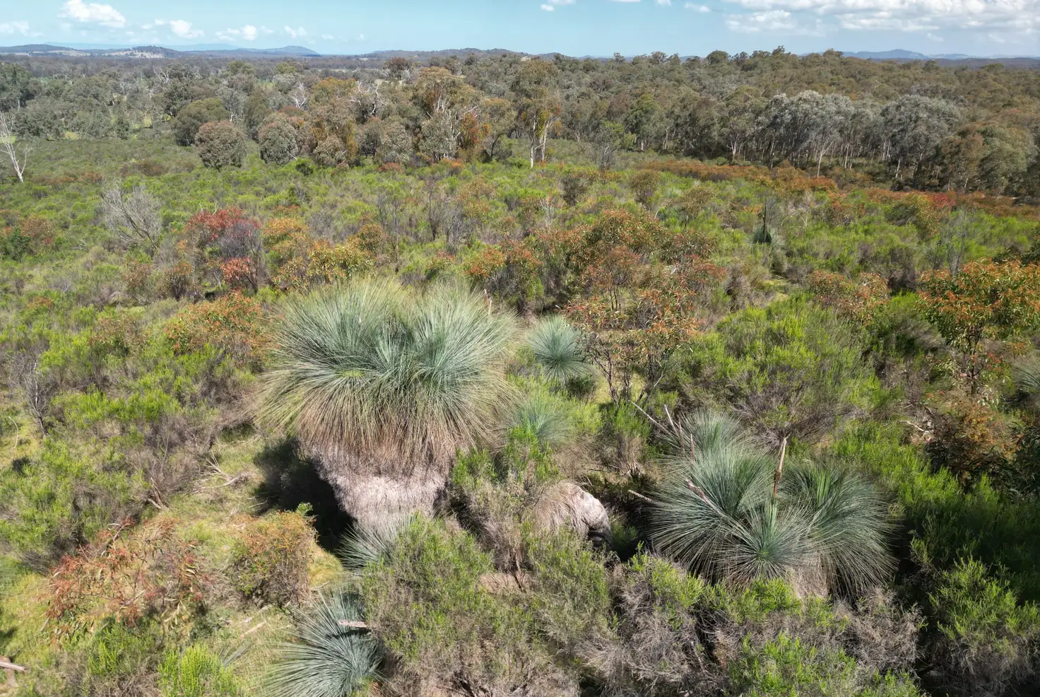 Main view of Homely rural property listing, Lot 12 Heathcote-Nagambie Road, Moormbool West VIC 3523