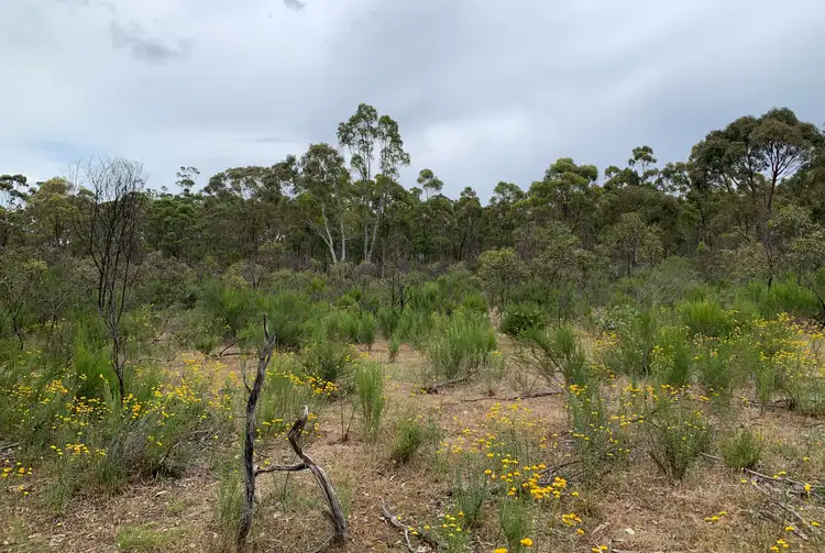 Fourth view of Homely rural property listing, Lot 12 Heathcote-Nagambie Road, Moormbool West VIC 3523