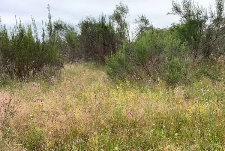 Fifth view of Homely rural property listing, Lot 12 Heathcote-Nagambie Road, Moormbool West VIC 3523