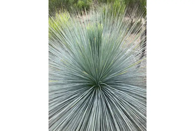 Sixth view of Homely rural property listing, Lot 12 Heathcote-Nagambie Road, Moormbool West VIC 3523