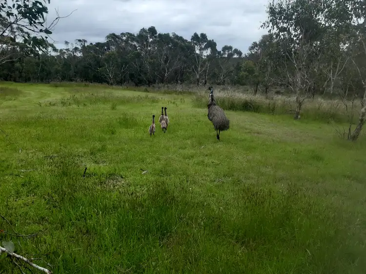 Address available on request