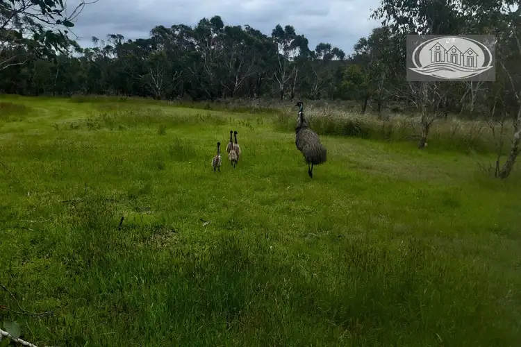 Address available on request