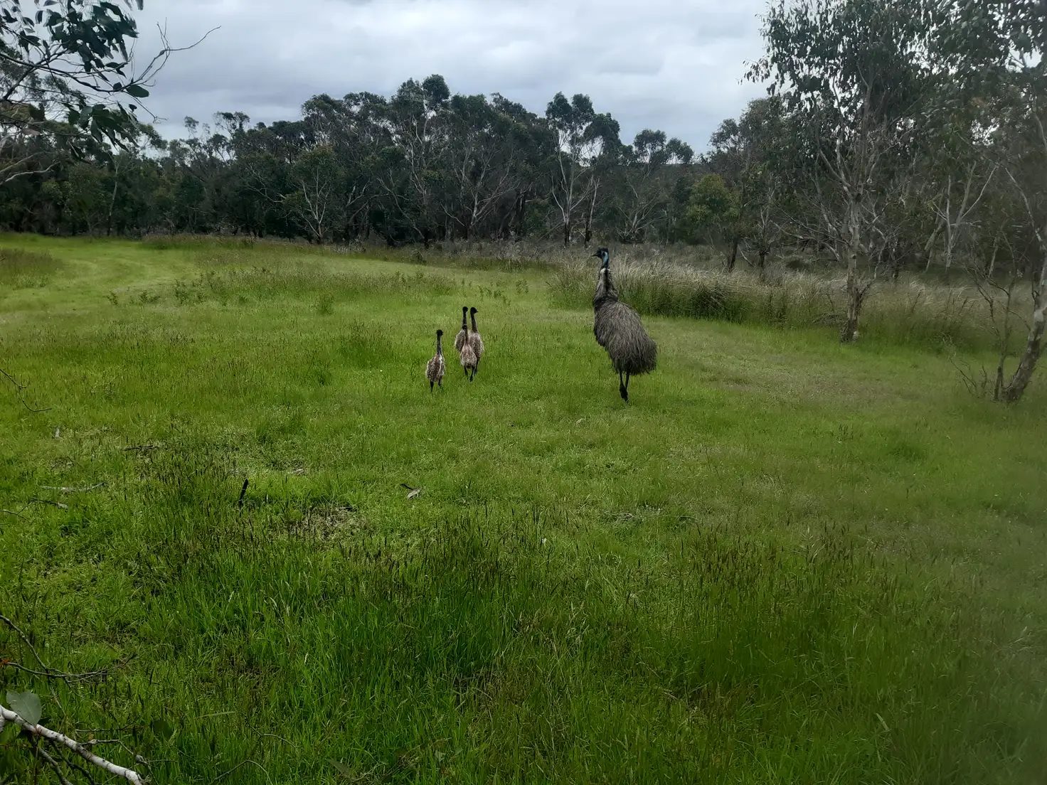 Main view of Homely land listing, Address available on request