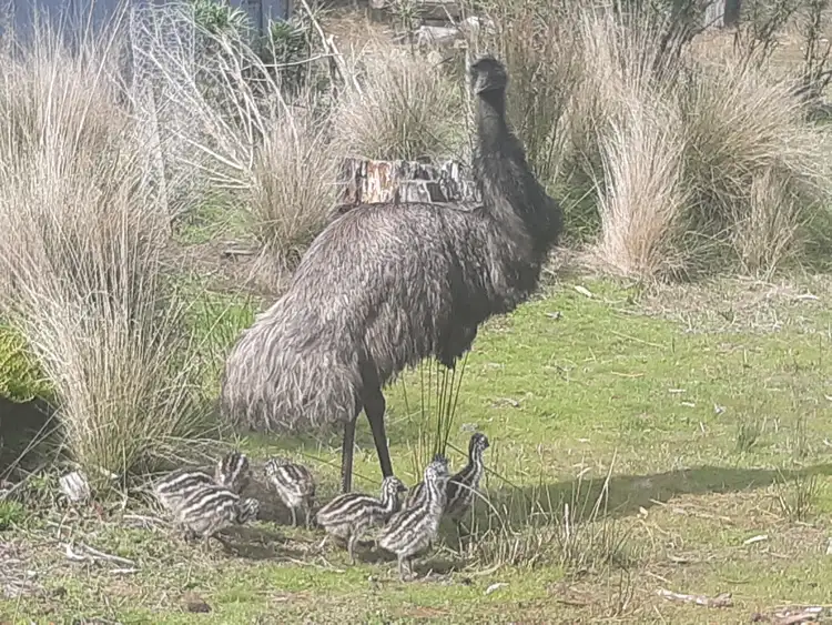 Second view of Homely land listing, Address available on request