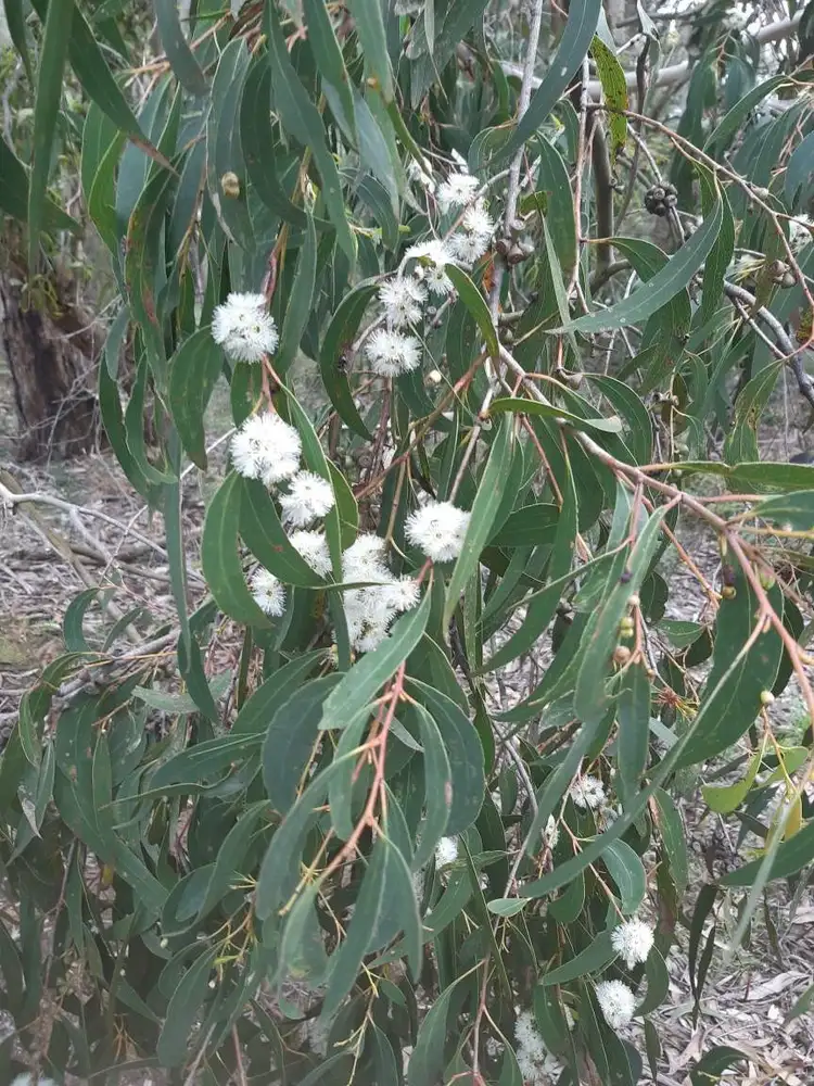 Fifth view of Homely land listing, Address available on request