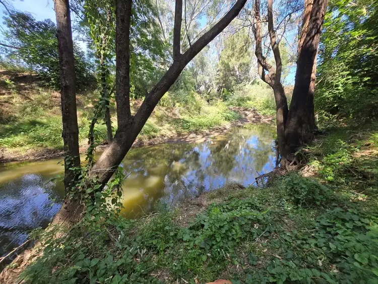 Fourth view of Homely rural property listing, 88 Amaroo Way, Eugowra NSW 2806