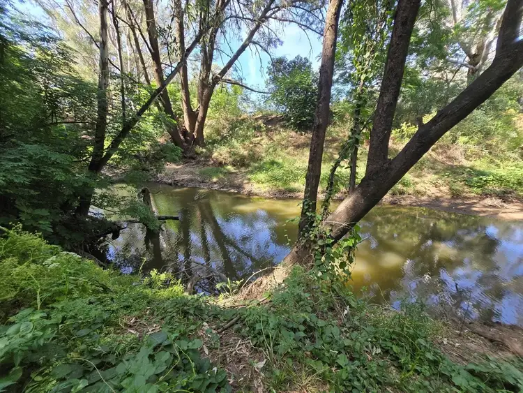 Fifth view of Homely rural property listing, 88 Amaroo Way, Eugowra NSW 2806