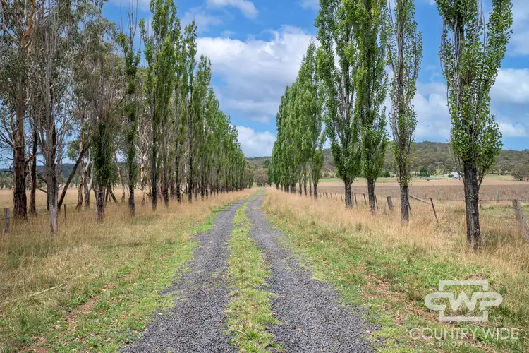 Fifth view of Homely rural property listing, 638 Furracabad Road, Glen Innes NSW 2370