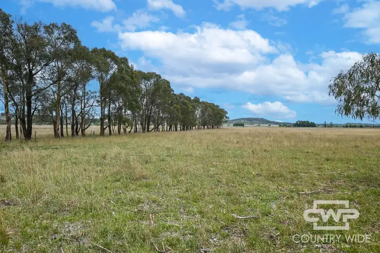 Sixth view of Homely rural property listing, 638 Furracabad Road, Glen Innes NSW 2370