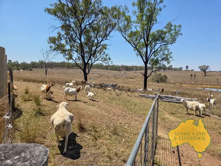 Second view of Homely rural property listing, 110 BENHAMS ROAD, Mundubbera QLD 4626