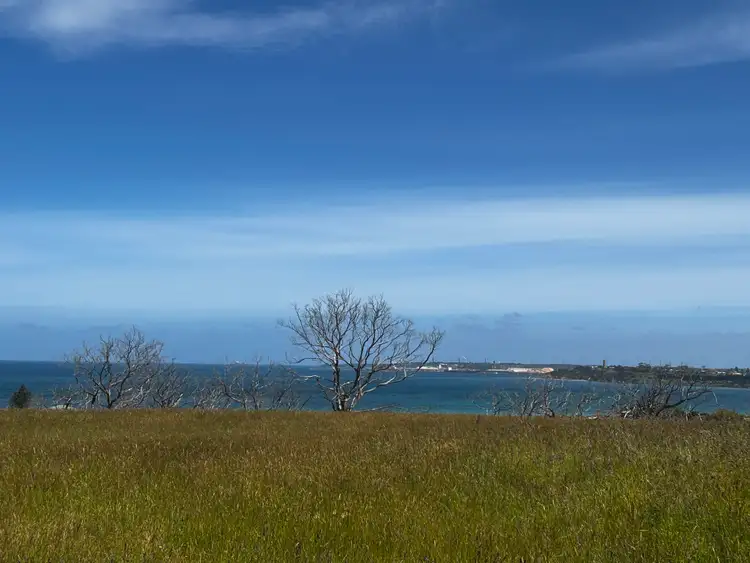 Seventh view of Homely rural property listing, 812 Henty Highway, Bolwarra VIC 3305