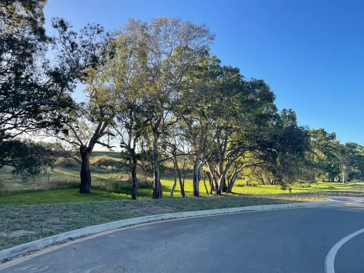 Third view of Homely house listing, 25 Hickory Circuit, Mount Barker SA 5251