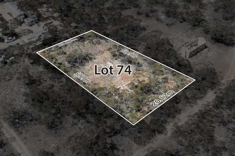 LOT 74 South Terrace, Alawoona SA 5311