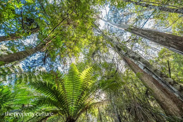 21c Mansfields Rd, Franklin TAS 7113