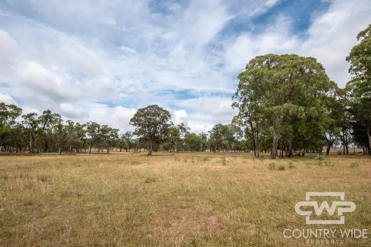 Seventh view of Homely rural property listing, 320 Cemetery Road, Torrington NSW 2371