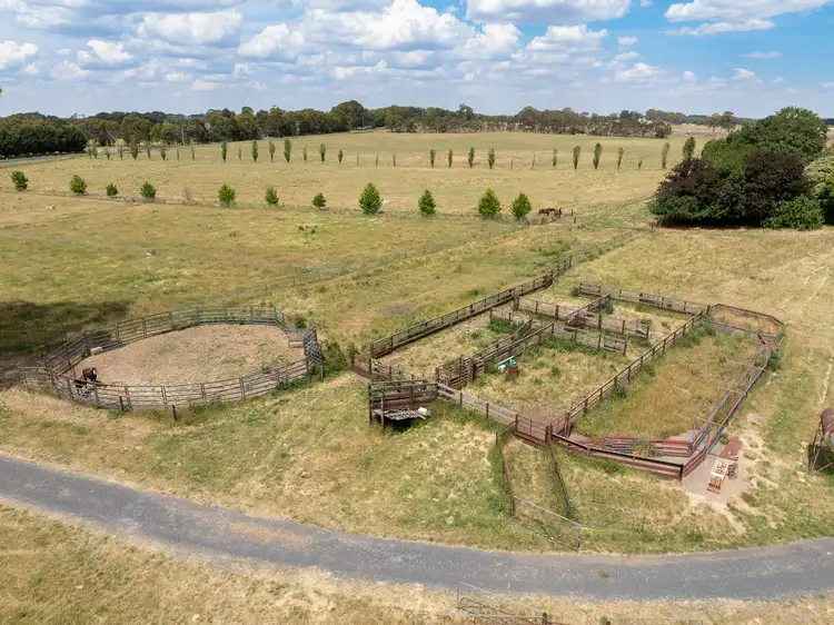 Sixth view of Homely rural property listing, 56 Orchard Road, Springside NSW 2800