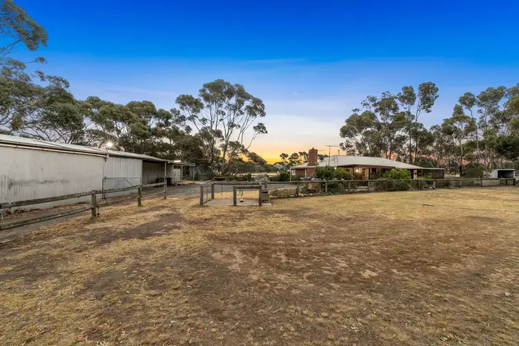 65 McIntosh Road
