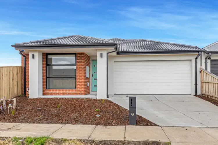 3 Swamphen Street