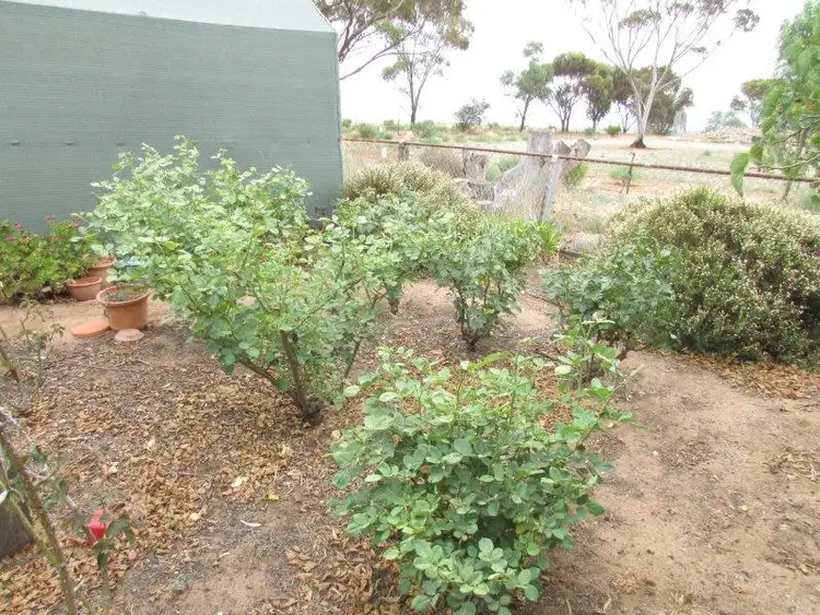 Fourth view of Homely house listing, 27 Cust Street, Rainbow VIC 3424