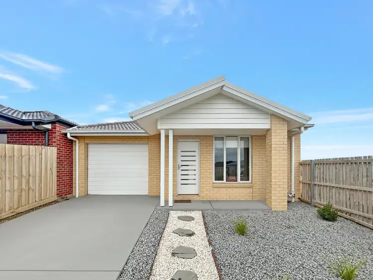 31 Haberfield Street