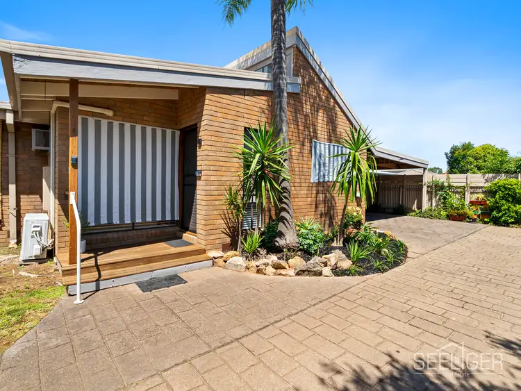 53 McLeod Street