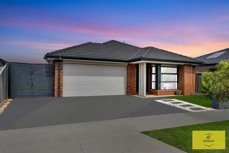 25 Bellbird Street