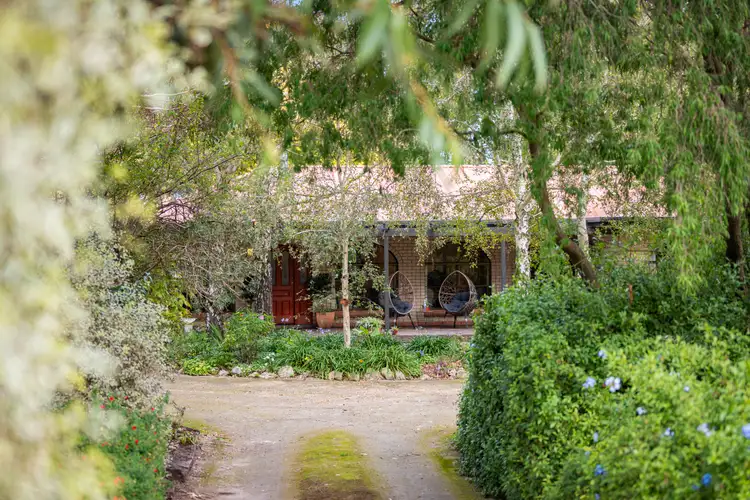 181 Acacia Drive