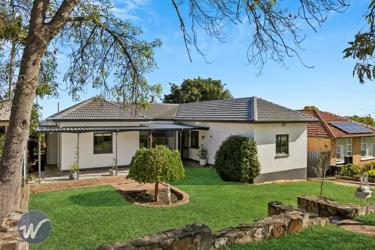 15 Kinedana Street