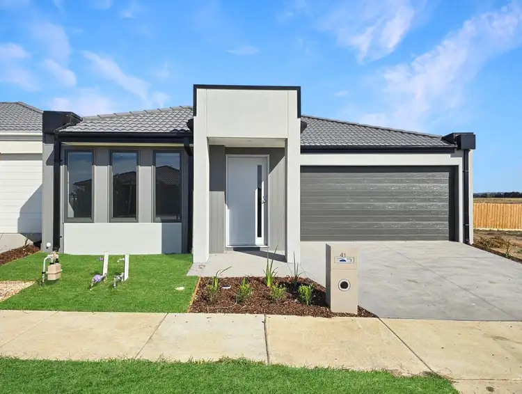 41 Mollyan Avenue