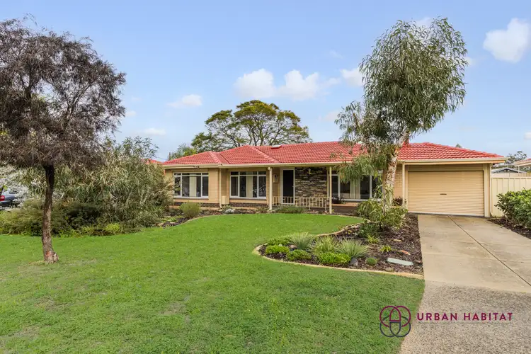 11 Chapman Road