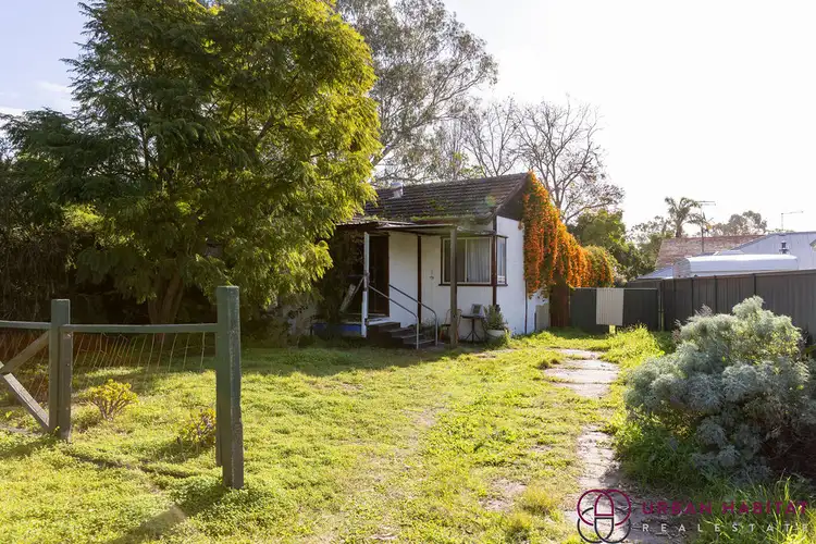 35 Hewison Road