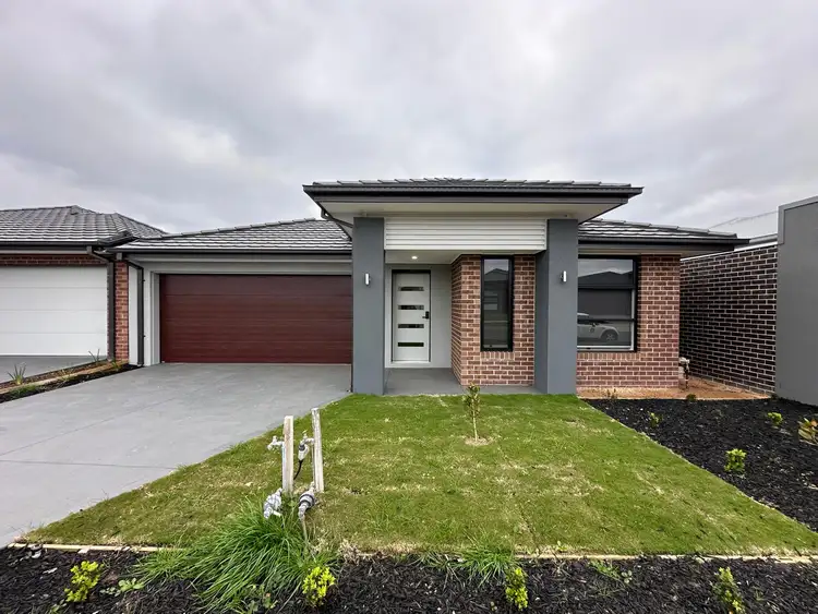 50 Dunphy Street