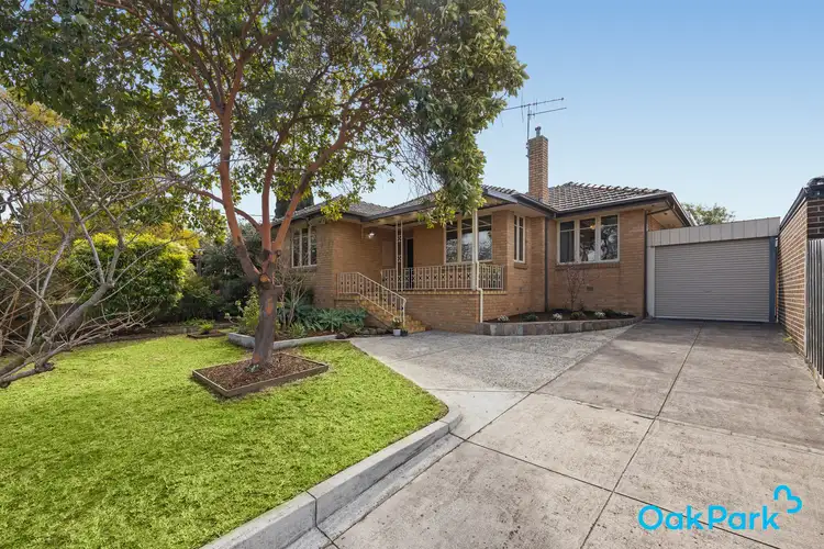20 Josephine Street