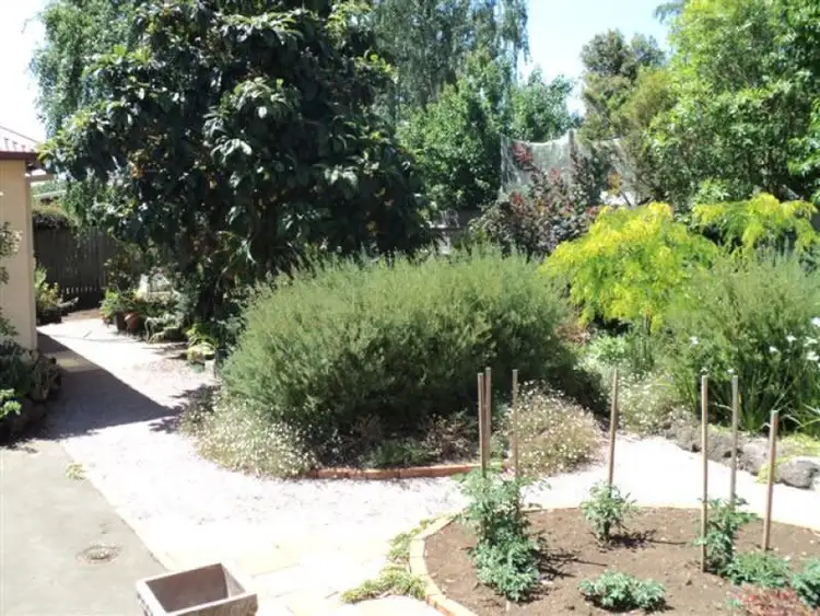 Fourth view of Homely house listing, 31 Collins Street, Hamilton VIC 3300