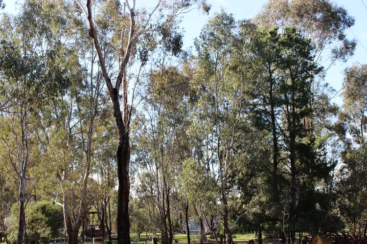 Fourth view of Homely land listing, 82 High Street, Violet Town VIC 3669